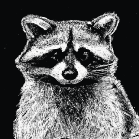 Balag Bálint's GitHub avatar: a raccoon